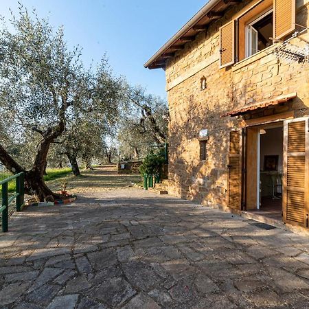 Casetta Maduneta Immersa In Un Oliveto โดลเชอักกวา ภายนอก รูปภาพ