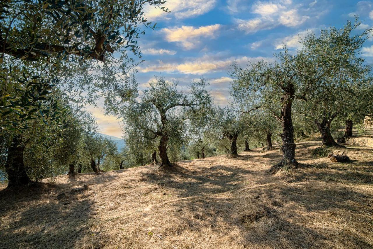 Casetta Maduneta Immersa In Un Oliveto โดลเชอักกวา ภายนอก รูปภาพ