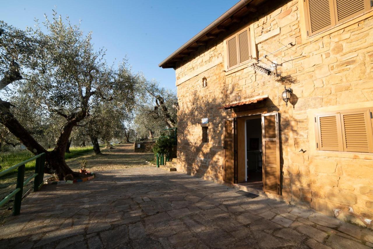 Casetta Maduneta Immersa In Un Oliveto โดลเชอักกวา ภายนอก รูปภาพ